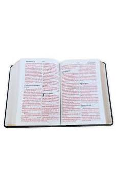 Image of Biblia RVR 1960 Letra Grande Tamaño Manual Bicolor Negro Gris Símil Piel