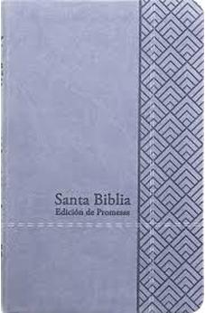 Image of Biblia RVR 1960 Letra Grande Tamaño Manual Gris Símil Piel