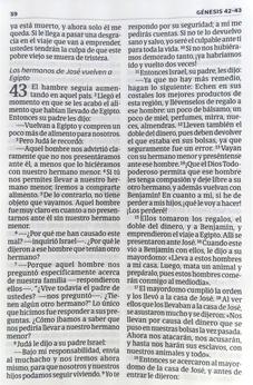 Image of Biblia NVI Letra Súper Gigante Marrón con Solapa Imán