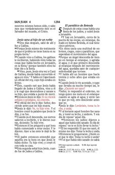 Image of Biblia RVR 1960 Compacta Símil Piel Flores Lila Claro