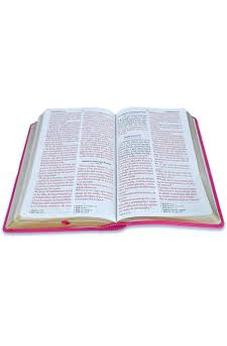 Image of Biblia RVR 1960 Letra Gigante Rosa Símil Piel