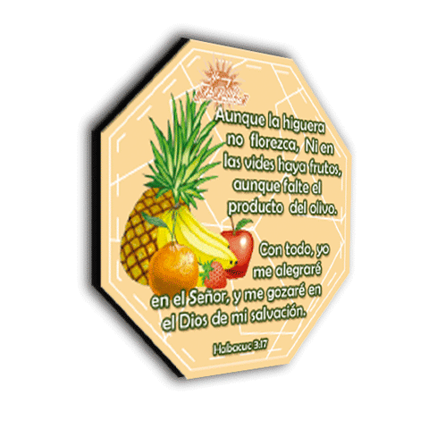 Image of Aplique Imantado Octogonal