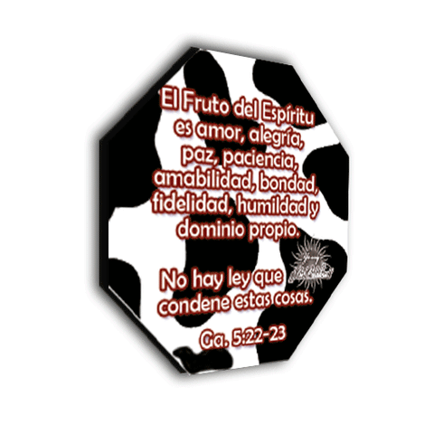 Image of Aplique Imantado Octogonal