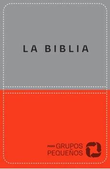 Biblia NBV para Grupos Pequeños Duotono Lujo