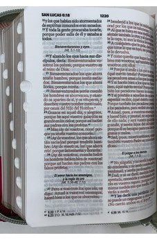 Image of Biblia RVR 1960 Bolsillo Símil Piel Tricolor Rosa Gris Fucsia con Índice