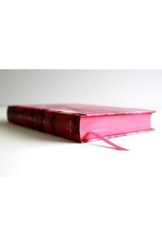 Image of Biblia RVR 1960 León de Judá Letra Grande Tamaño Manual Rosado Tapa Dura