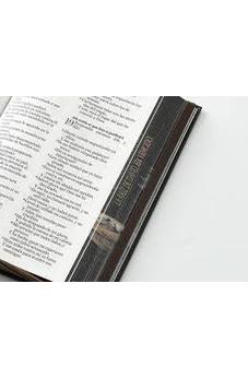 Image of Biblia RVR 1960 Tamaño Manual Letra Grande Tapa Dura León de Judá Tapa Dura