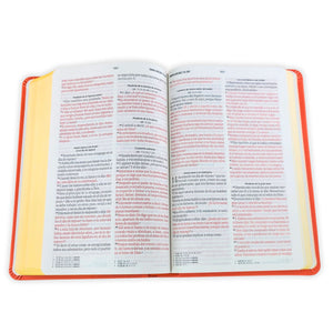 Biblia RVR 1960 Tamaño Manual Letra Grande 12 pt SÍmil Piel Lila Morado con Cierre Bitono