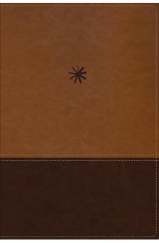 Biblia NBLA Cronológica de Estudio