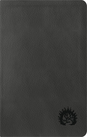 Biblia NBLA de Estudio de La Reforma Edición Condensada Símil Piel Charcoal