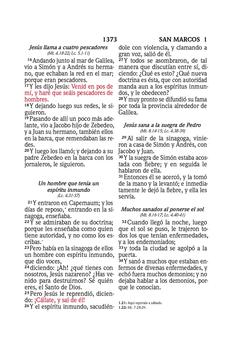 Image of Biblia RVR 1960 Letra Súper Gigante Símil Piel Salvia Claro