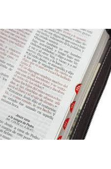 Image of Biblia RVR 1960 Para Mujeres Letra Grande 12 Puntos Mamual Cierre Fantasía Café Yo y mi Casa