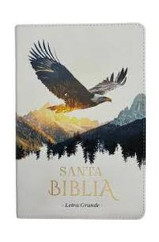 Biblia RVR 1960 Tamaño Manual Letra Grande Colección Supreme Águila sobre Montañas Símil Piel