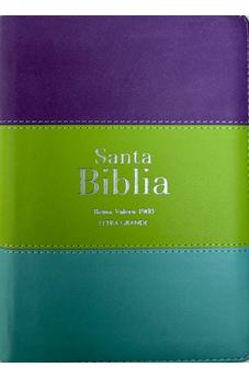 Biblia RVR 1960 Compacta Letra Grande 11 puntos Símil Piel Lila Verde Aguamarina con Cierre y Índice