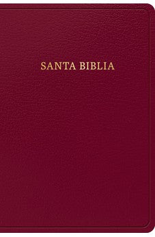 Image of Biblia RVR 1960 Tamaño Manual Símil Piel Borgoña con Índice