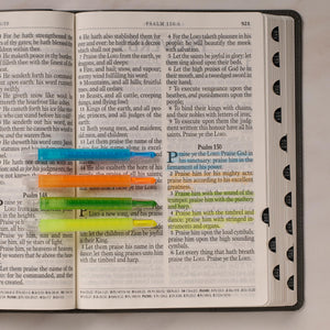 Pack de 4 Marcadores Retráctiles de Biblia
