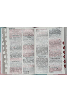 Image of Biblia RVR 1960 Letra Grande Tamaño Manual Tapa Flex Pastel Tricolor con Índice
