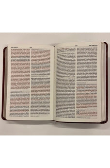 Image of Biblia RVR 1960 Compacta Marron