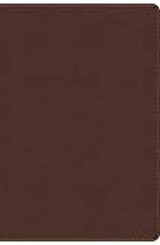 Biblia RVR 1960 de Estudio Arco Iris Símil Piel Chocolate