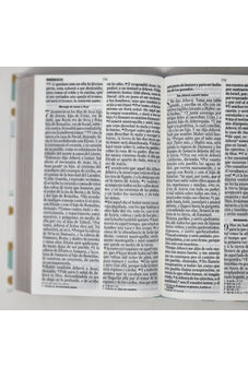 Image of Biblia RVR 1960 Letra Grande Tamaño Manual Tapa Flex Puntos