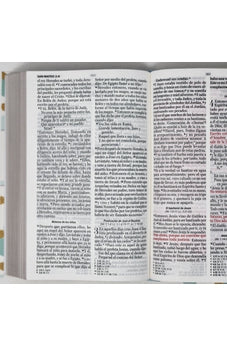 Image of Biblia RVR 1960 Letra Grande Tamaño Manual Tapa Flex Puntos