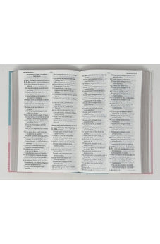 Image of Biblia RVR 1960 Letra Grande Tamaño Manual Tapa Flex Pastel Tricolor