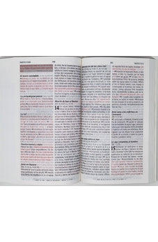 Biblia RVR 1960 de Promesas Letra Grande Marron Líneas Rústica